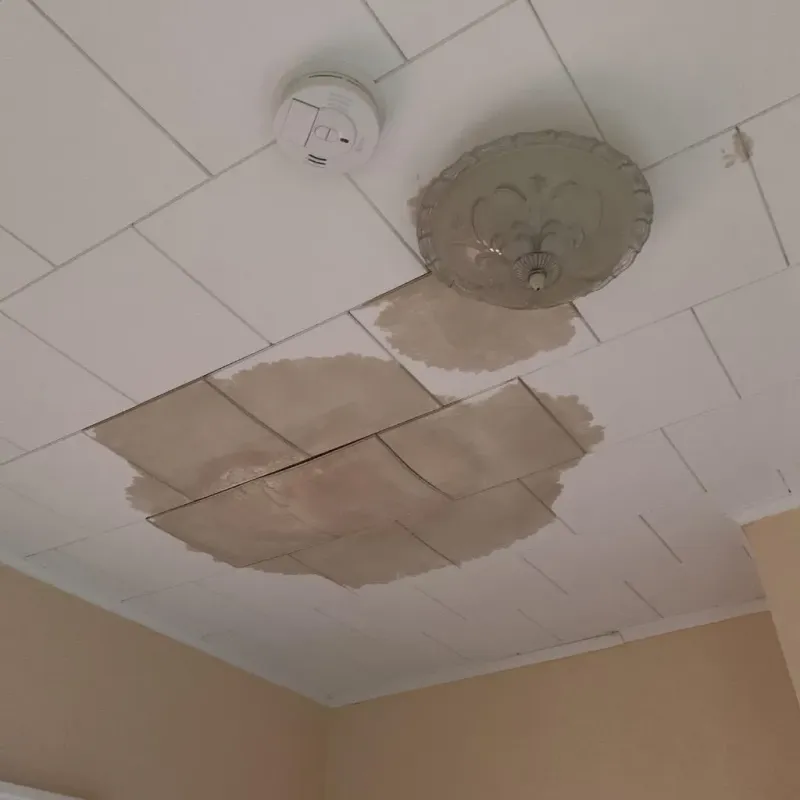 Ceiling Water Damage Repair in Milaca, MN