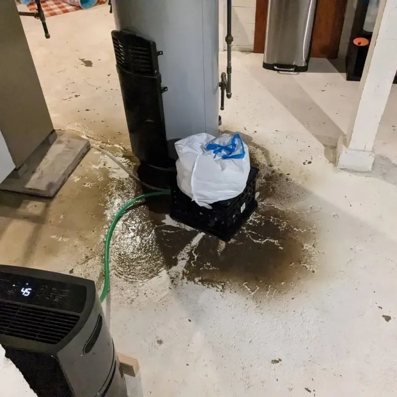Sewage Backup Cleanup Service in Milaca, MN